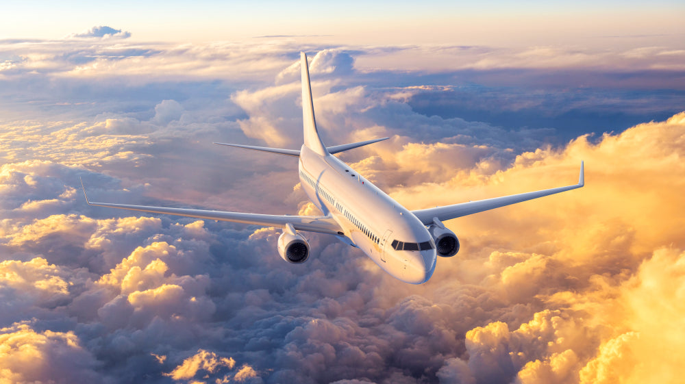 Airplane in the sky
